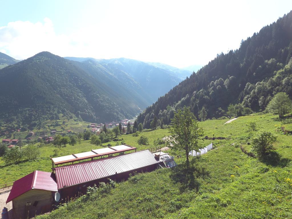 Ferienwohnung Ozturk Apart Uzungöl Exterior foto
